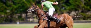 Clases polo partido profesional