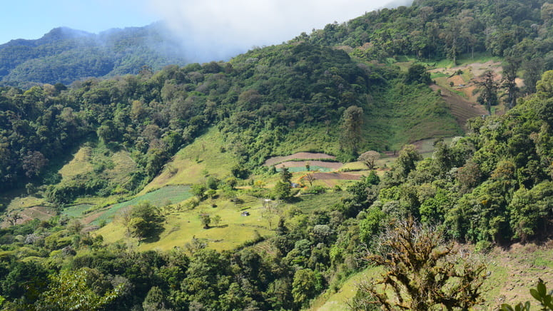 Senderismo por el Parque Nacional Soberanía