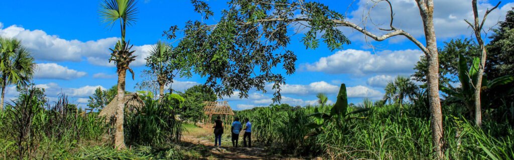 Tour un día agricultura cenote y Ek Balam