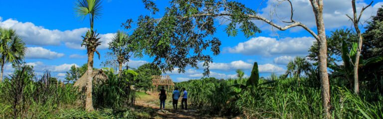 Tour un día agricultura cenote y Ek Balam