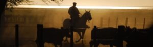Visita estancia Don Silvano