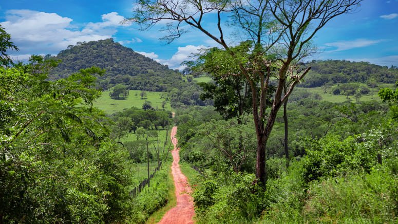 Excursión al Valle de Antón