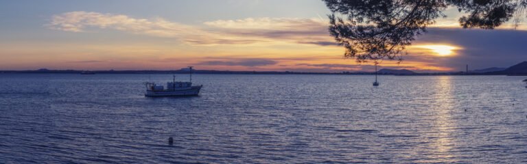 Amanecer barco avistamiento delfines