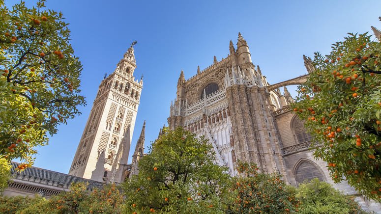 Tour por Barrio Santa Cruz, la Giralda Catedral Sevilla