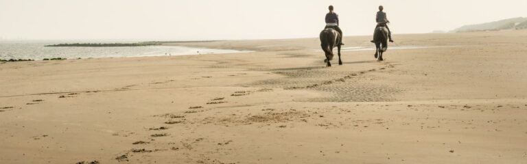 Excursión a caballo por la playa