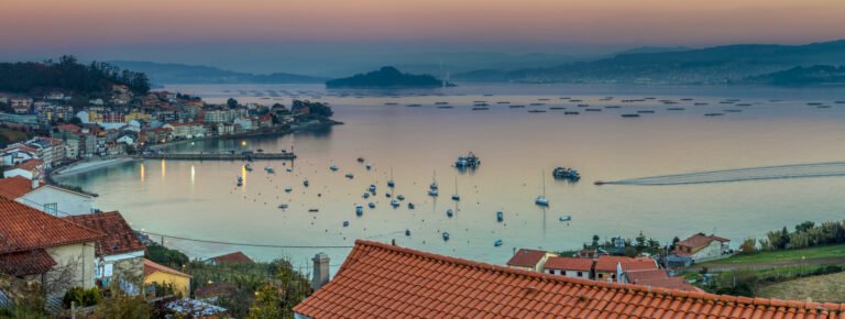 visita guiada pontevedra