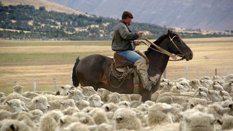 Excursión Estancia 25 Mayo