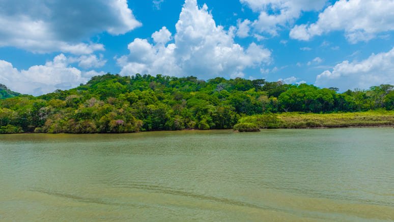 Tour Isla monos
