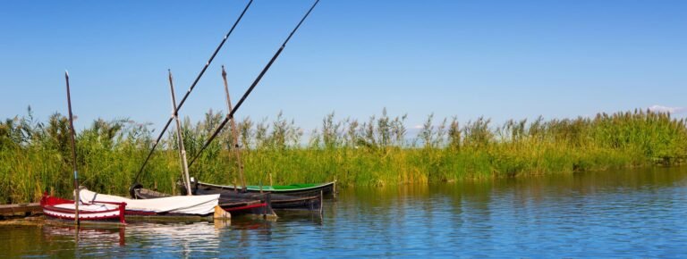 tour lago albufera paella