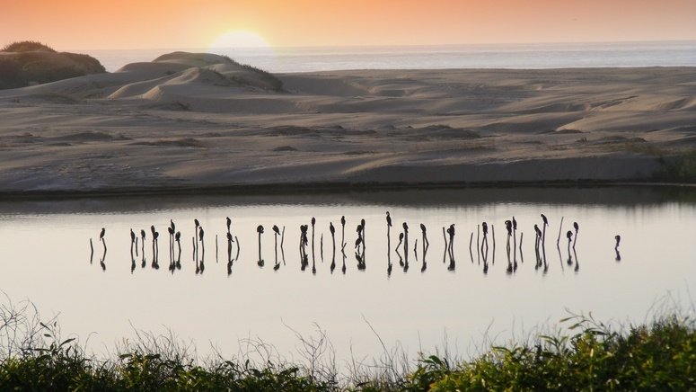 Excursión al Parque Nacional de Souss Massa