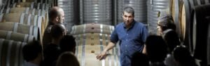 cata vino cosechas poças
