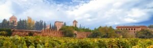 Tour bicicleta eléctrica cata vinos El Penedés