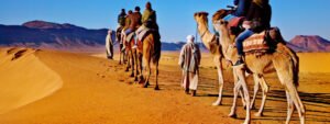Paseo camello Agadir