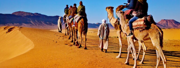 Paseo camello Agadir