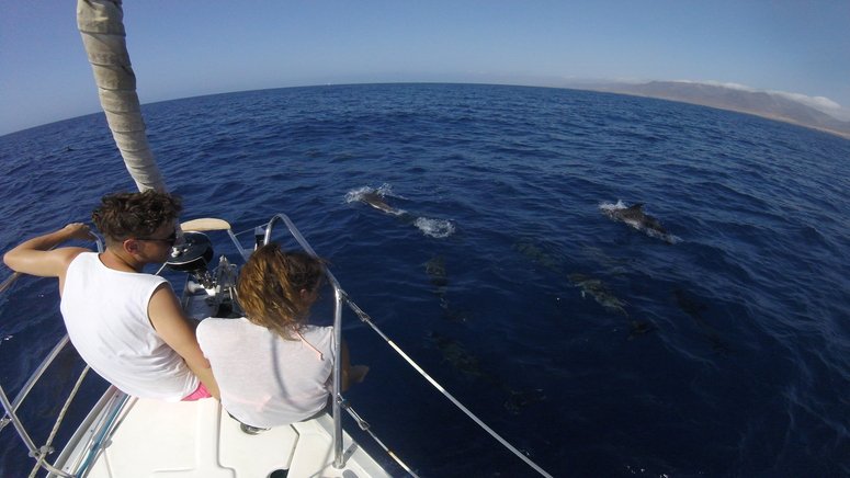 ruta velero fuerteventura