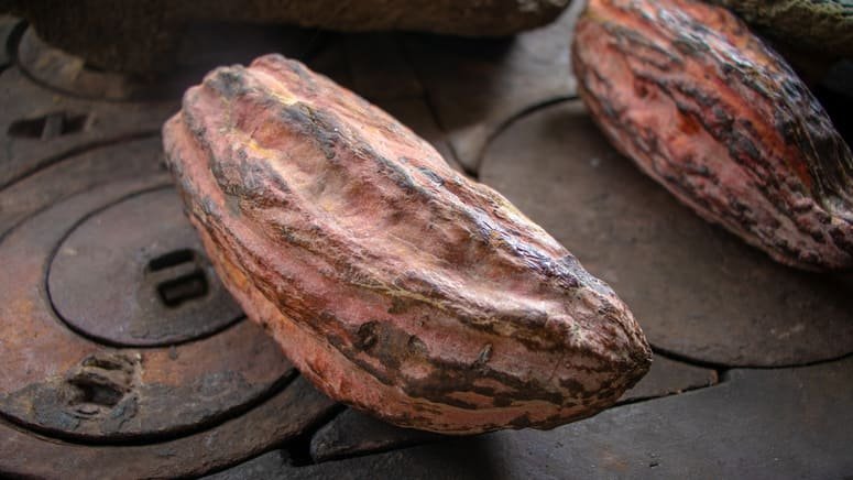 Tour de degustación de chocolate en San José