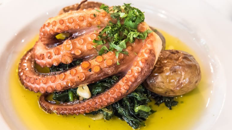 Clases cocina bacalao y pulpo Oporto
