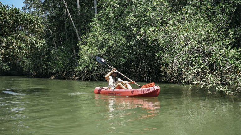 Kayak manglares río Platanares
