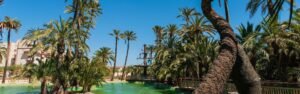paseo barca palmerales elche