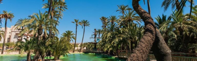 paseo barca palmerales elche