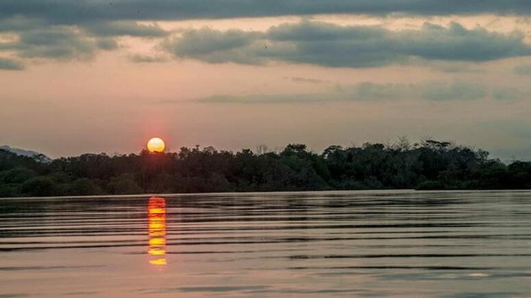 Atardecer kayak avistamiento delfines
