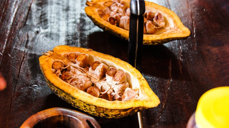 Tour de degustación de chocolate en San José