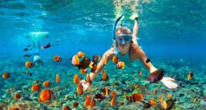 Excursión catamarán snorkel Bávaro