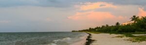 Ecoturismo sabor miel y coco México