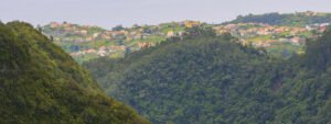 Trekking Parque Florestal Queimadas