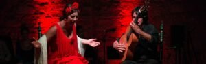 Espectaculo flamenco Granada