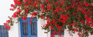 Excursión a Níjar, el vergel soñado