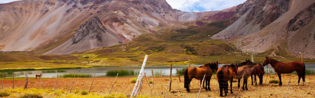Excursión caballo Andes
