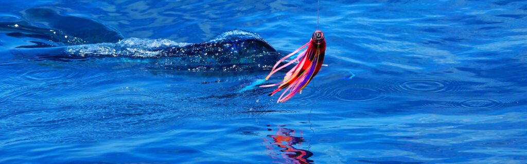 Pesca y kayak Golfo Dulce