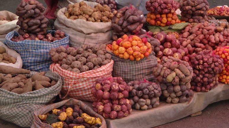 Tour gastronómico La Paz