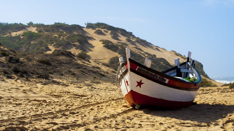 Excursión privada por las playas y comida en Meco
