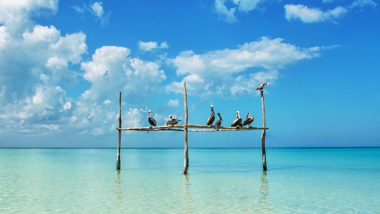 Excursión Holbox desde Cancún