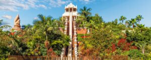 Entrada Siam Park almuerzo incluido