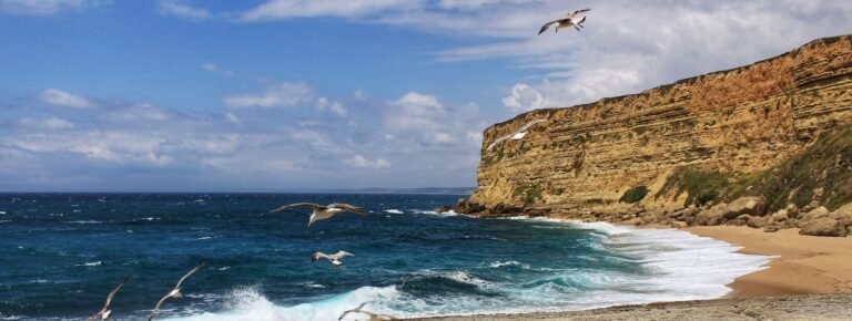 Excursión privada por las playas y comida en Meco