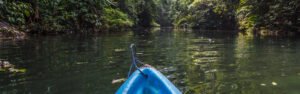 excursión kayak mangares costa rica