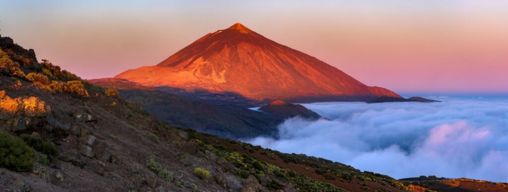 excursion privada teide cata vinos