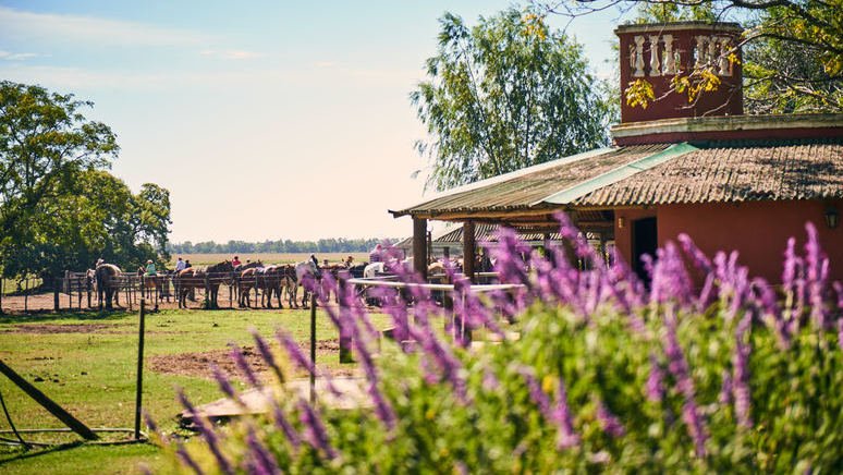 Tour villa Santa Susana