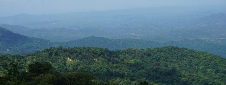 Ruta sierra Oaxaca desde Huatulco