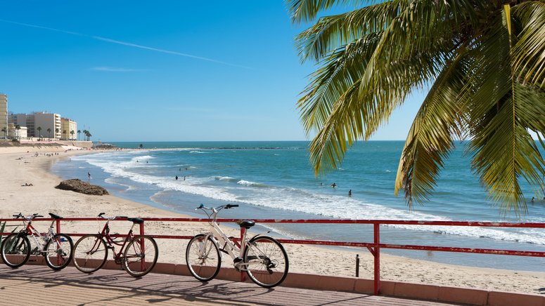 tour bicicleta ciudad