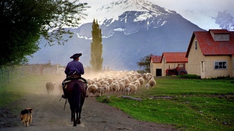 Excursión Nibepo Aike