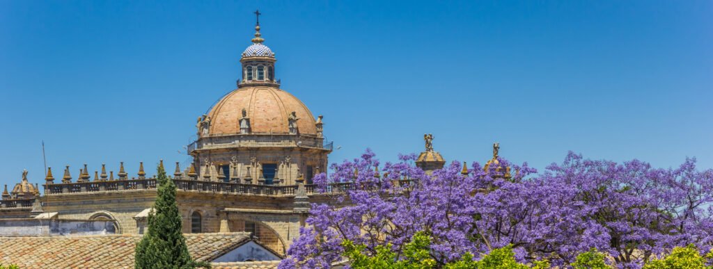 free tour jerez