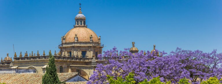 free tour jerez