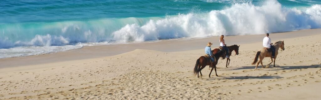 Paseo caballo Los Cabos