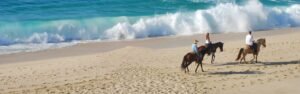 Paseo caballo Los Cabos