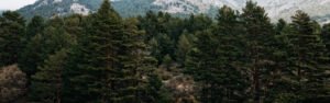 Trekking en la nieve de la Sierra de Guadarrama