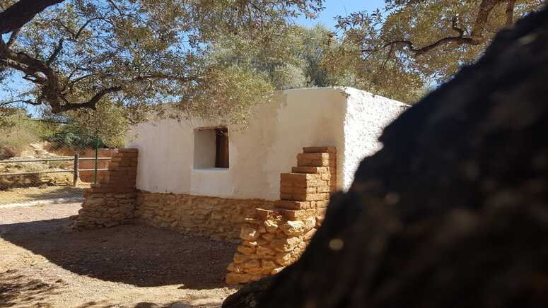 visita guiada moleta remei